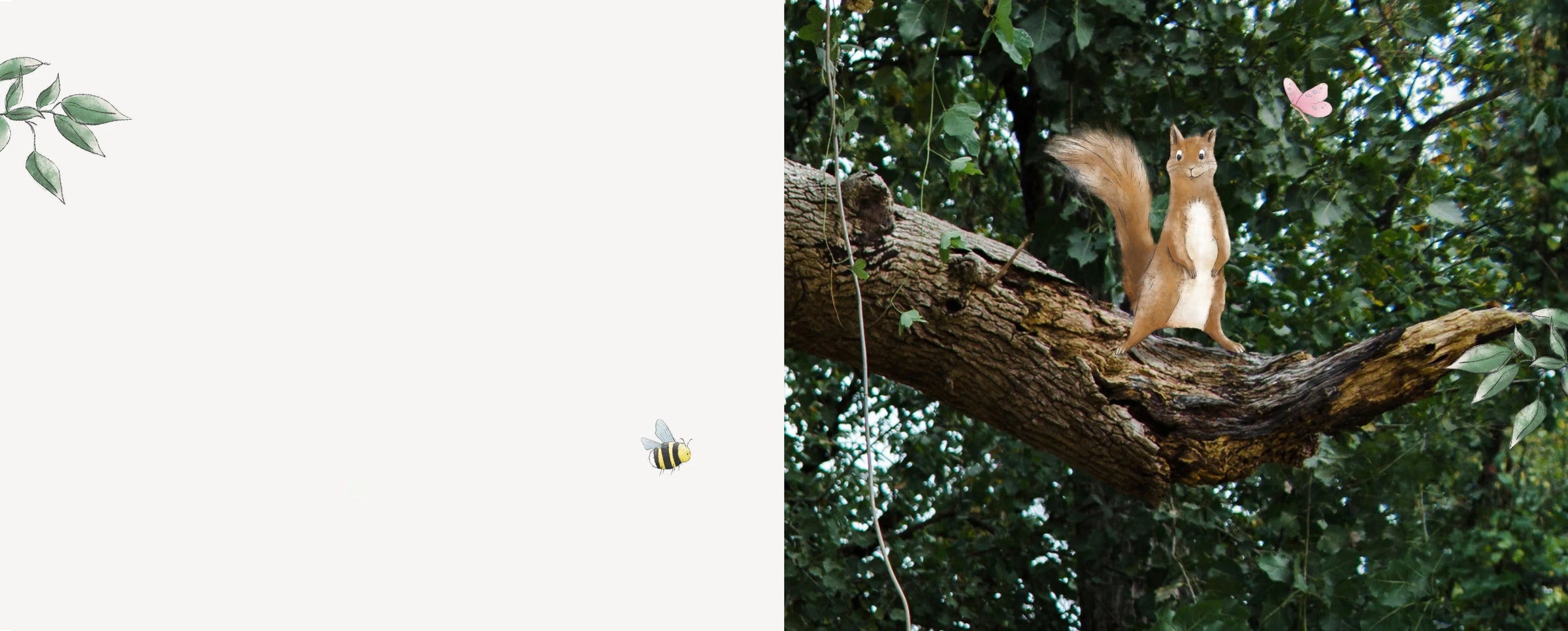 Eichhörnchen im Wald, nachhaltige Babypflege bei vujo