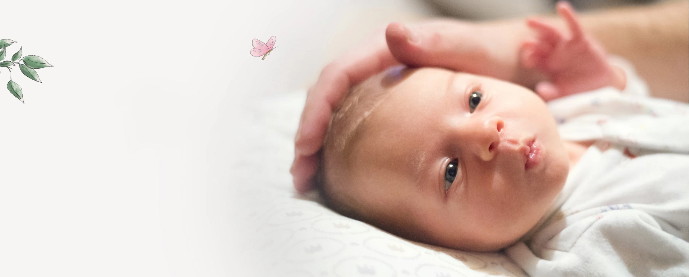 Baby in liebevoller Hand, parfümfreie Babypflege