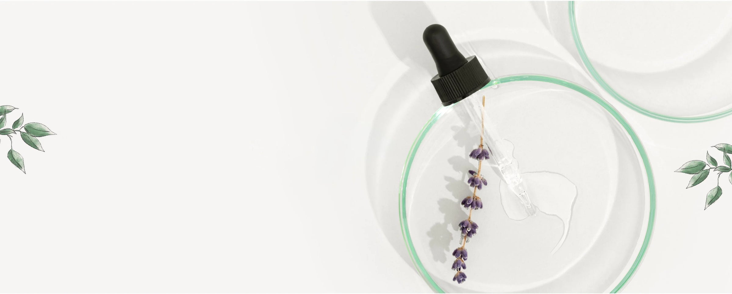 Pipette mit Lavendel, Babypflege auf wissenschaftlicher Basis